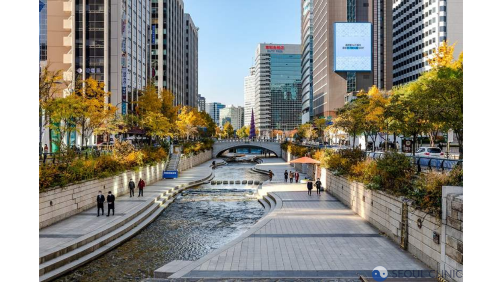 Picture Of Cheonggyecheon Stream In Seoul