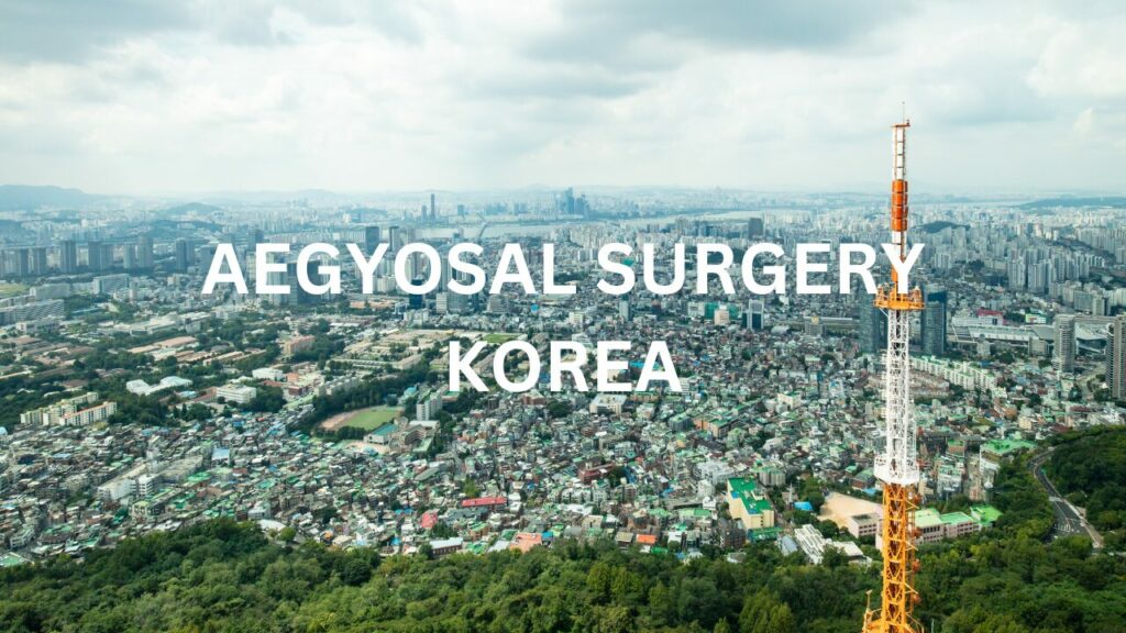 Aegyosal Surgery Korea
